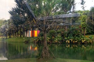 Magic Square #5, De Luxe" (1977), Helio Oticica