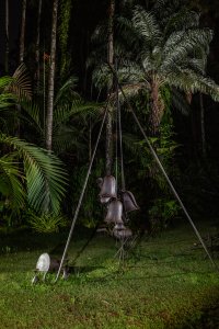 "Deleite" (1999), Tunga