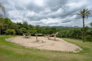 "Desert Park" (2010), Dominique Gonzalez-Foerster