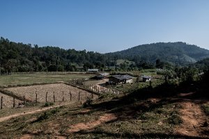 Dumbo Elephant Sanctuary, Thaïlande